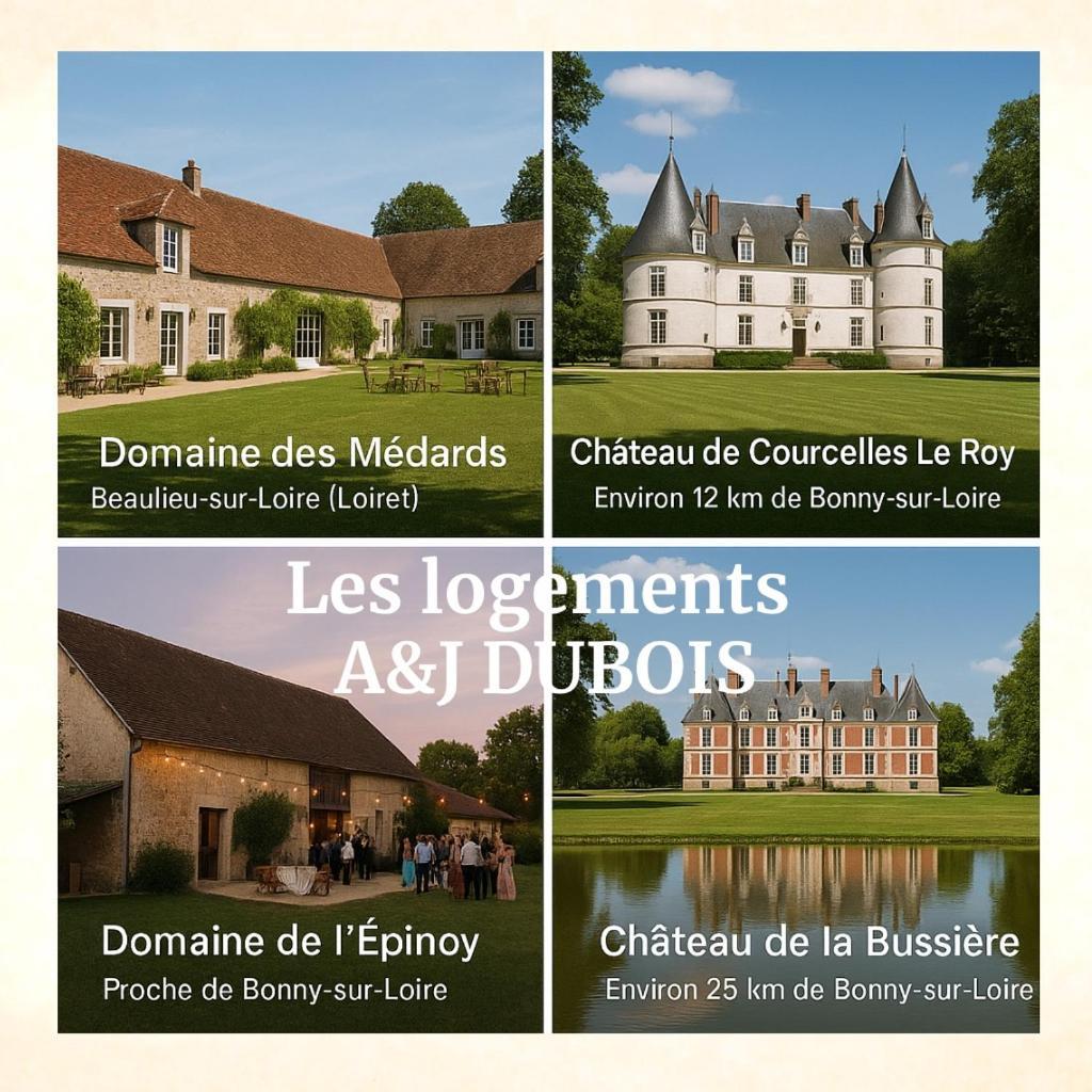 A&Jduplex - Bonny Sur Loire - Chateaux De Guedelon - Pont Canal Dış mekan fotoğraf